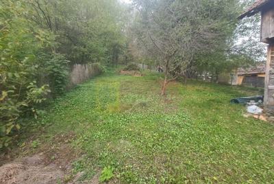 Casă cu 3 camere cu Teren 3410 Mp în Aluniș - 7