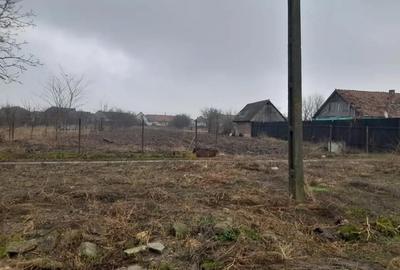 Teren în Șicula - 1