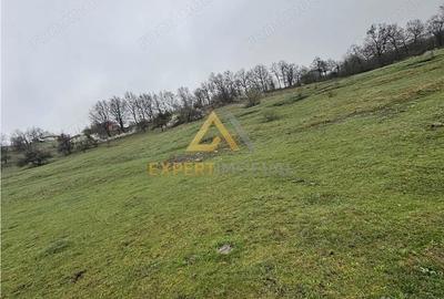 Teren de 11700 mp, în Est - 2