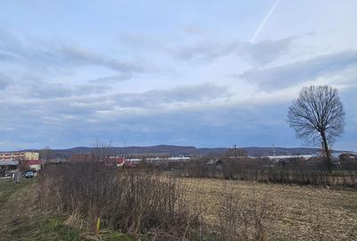 Spațiu comercial, în Central - 2