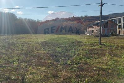 Teren intravilan de vanzare in Hidiselul de Jos, jud.Bihor - 8