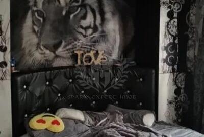 // 3 CAMERE // ZONA PALTINIS // - 4
