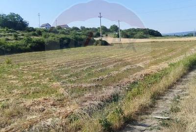 Teren 2,000mp Bradesti / None - 2