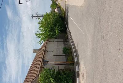 Casa si teren Murighiol - 6