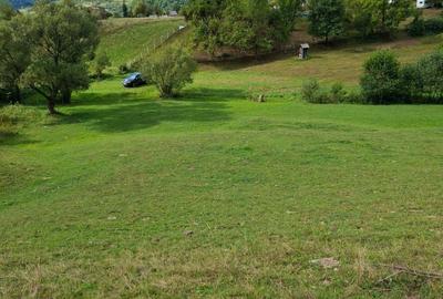 Teren de 27000 mp, în Rebrișoara - 1