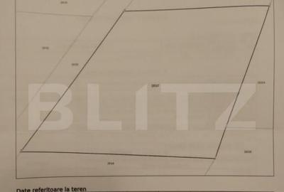 Teren extravilan,850 mp,ideal de cabana,zona Blajeni de Jos - 7