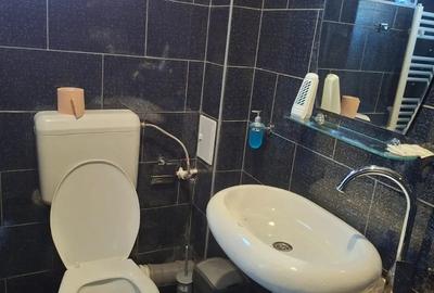 Garsoniere si apartament de inchiriat sinaia - 4