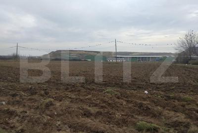 Teren de 13000 mp, în Central