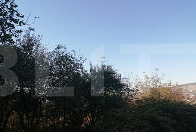 Teren in cartierul Gruia , 2042 mp cu Puz in lucru - 1