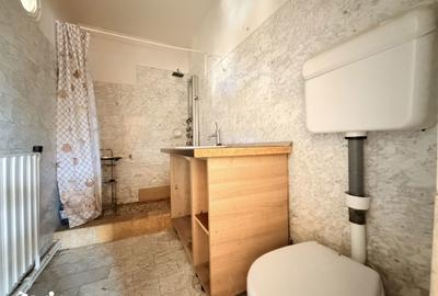 Casă cu 3 camere cu Teren 252 Mp în Șega - 2