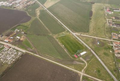 Teren de 76000 mp, în Caporal Alexa - 6