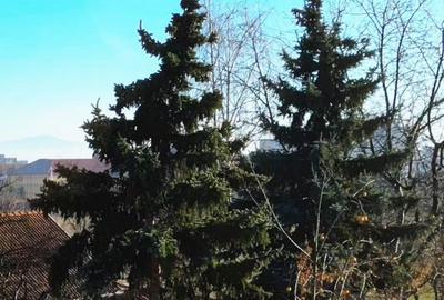 Teren de 452 mp, în Central