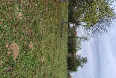 Casă în Vârfurile - 3