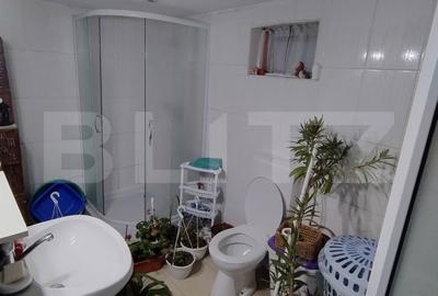 Casă cu 4 camere decomandat cu Teren 516 Mp în Romanești - 3