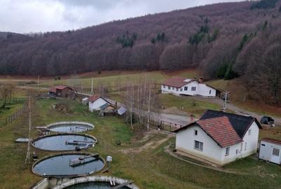 Casă cu 2 camere decomandat în Buzăiel - 1