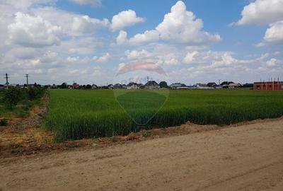 Teren intravilan 6,600mp Dumbraveni / Strada Principala spre Veresti - 11