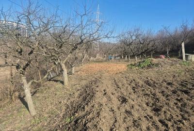 Teren Construcții intravilan de 1550 mp, în Gheorgheni - 7