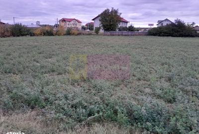 Teren de 2062 mp, în Manasia - 1