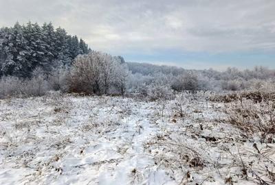 Spațiu comercial, în Negrești - 6