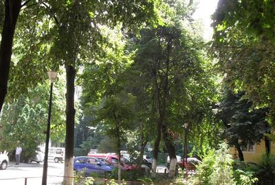 Casă individuală cu 8 camere cu Canalizare în Moșilor - 8