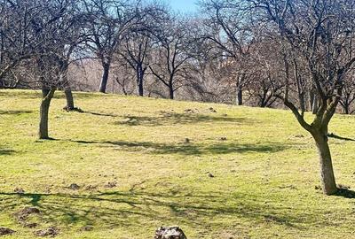 Teren de 10660 mp, în Bran - 5