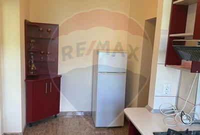 Apartament cu 2 camere de inchiriat in zona Vivo Mall - 11