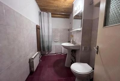 Garsonieră nedecomandată în Micul Dallas - 1