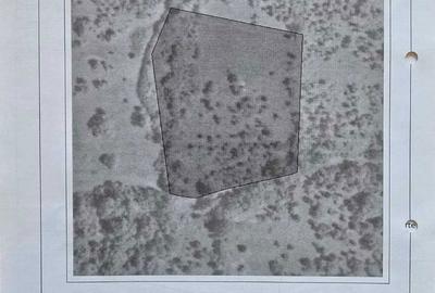 Teren de 7547 mp, în Ulieș - 6