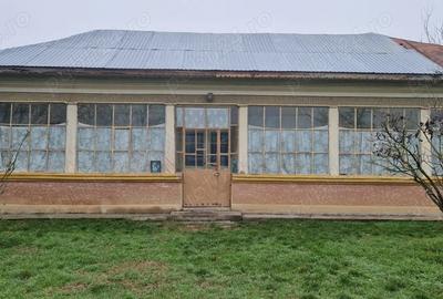 Casă în Singureni - 3