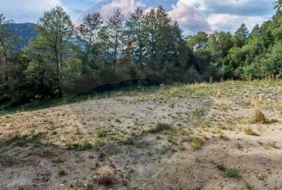 Teren 5,174mp Bran / Strada Colibasilor la 800 m de centrul Branului - 2