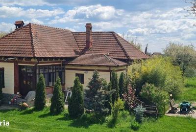 Casă cu 4 camere în Albești - 10