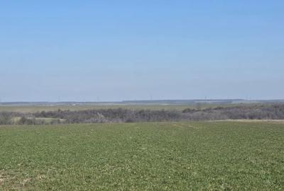 Teren de 3800 mp, în Mischii - 2