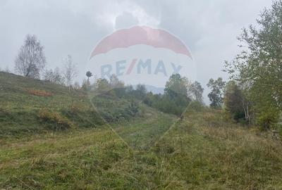 Teren Construcții intravilan de 8119 mp, în Călățele - 14