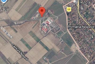 Teren de 4301 mp, în Nojorid - 2