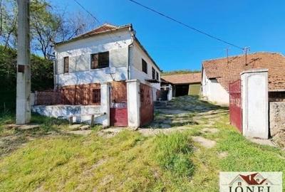 Casa de vanzare cu 46774 mp teren in zona Vintu - 3