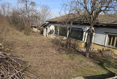 Teren de 3300 mp, în Brăniștari - 3