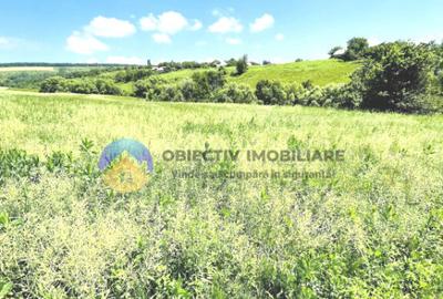 CASA comuna NEGRESTI - 12