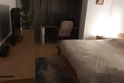 Studio zona Theodor Pallady - 3