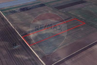 Teren extravilan de vanzare 6.500 mp, Harman, Bra?ov - 4