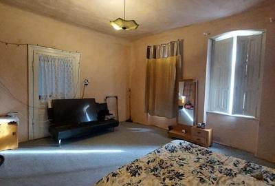 Gelu – Casa 4 Camere – Teren 6700 mp Gelu – Casa 4 Camere – Teren 6700 mp - 7