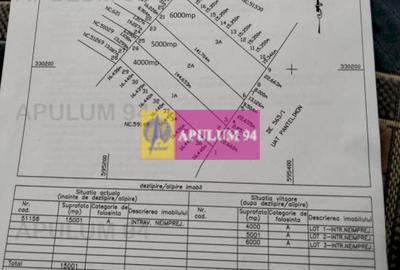 Teren, zona Dobroesti Pantelimon - 7
