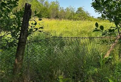 Teren de 8200 mp, în Podgoria - 3