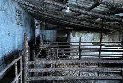 Spațiu comercial, în Stelnica - 8