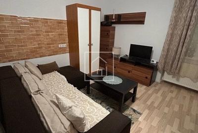 Garsonieră, mobilată în Sub Arini - 8