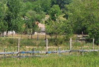 Teren de 1743 mp, în Tisău - 1