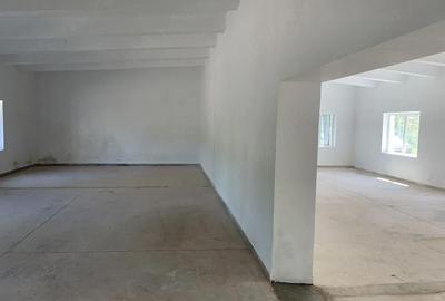 Spațiu comercial, de 330 mp, în Central - 5