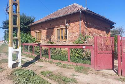 Casă cu 3 camere în Vășad - 6