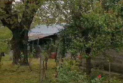 Casă cu 4 camere în Perii Broșteni - 6