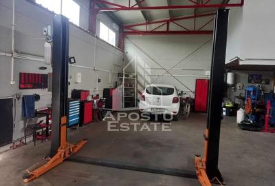 Sediu firma /birouri 60 mp/hala 160 mp/curte privata 240 mp Giroc - 7