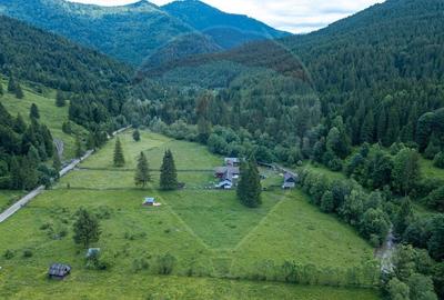 Ferma de vanzare, teren 21436 mp intravilan, Cosnea, Agas - 9